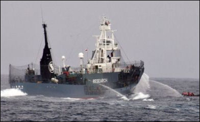 20111107-Sea Shepherd_Propeller_Fouling_Engagement.jpg